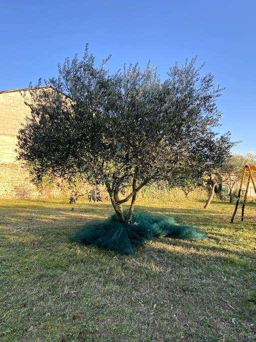 Mas En Drome Provencale Villa Bouchet  Bagian luar foto